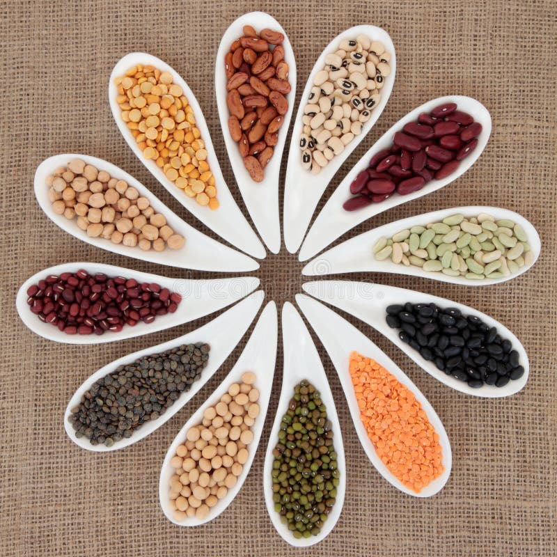 Sorghum